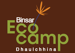 Binsar Eco Camp